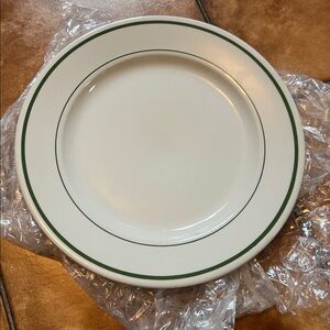 buffalo China USA 9” green stripes plates x 1